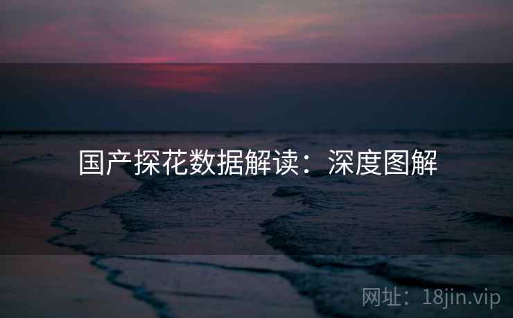 国产探花数据解读：深度图解  第2张