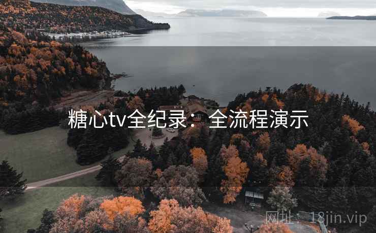 糖心tv全纪录：全流程演示