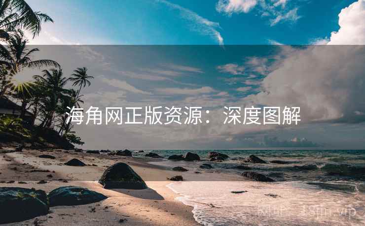 海角网正版资源：深度图解